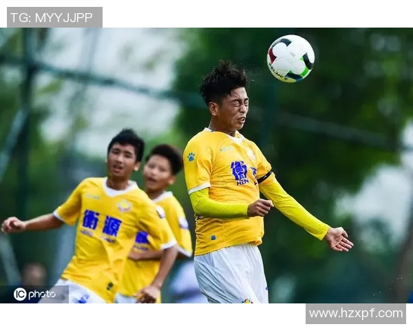 上海攀岩队状态分析与表现评估的全面数据研究