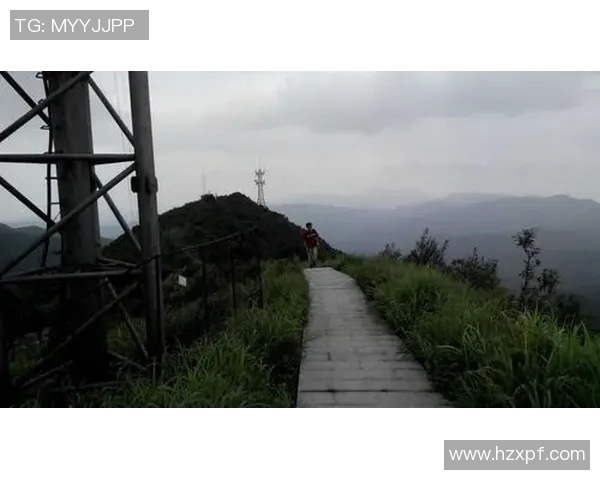 赵军独家分享攀岩技巧与心得体会助你征服高峰挑战自我极限