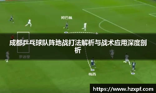 成都乒乓球队阵地战打法解析与战术应用深度剖析